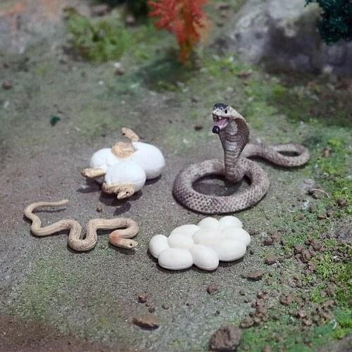 Life Cycle Lifelike Nature Growth Playset Pre-School Cognitive Toys Montessori 4 Part Animal Learning Educational Toys