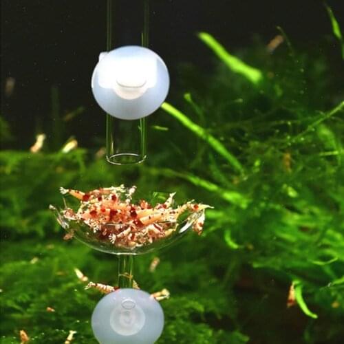 Acrylic Aquarium Shrimp Feeder Food Tube Tray Feeding Pipe Fish Tank Crystal Pet Supplies Suction Cup