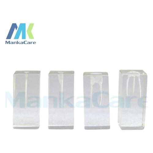 Manka Care - 4 Pcs Dental Canal Excellent for root canal filling cavity preparation Oral Model Teeth Tooth Model
