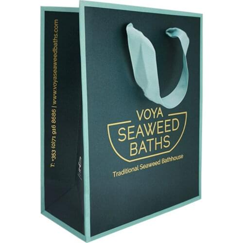 New Design Fashion paper shopping bag/kraft paper bag/brown paper bag accept custom logo