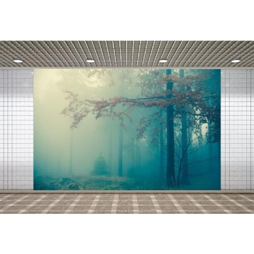 Lyavshi Backdrop Scenic Landscape Blue Mist In Autumn Forest Vinyl Travel Photography Background Photo Studio Decoration Props