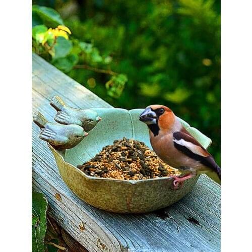 Ceramic Bird Feeder Bowl Bird Feeder Feeding Bowl Toy For Garden Decor Indoor Outdoor Yard Garden Bird Bowl Drop Shipping