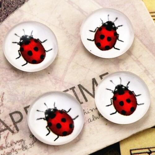 New Fashion 20pcs 12mm Handmade Photo Glass Cabochons (E6-63)