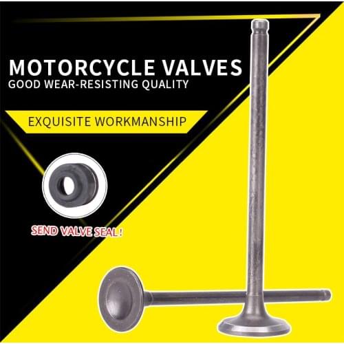 8 Pairs Intake Exhaust Valves with Oil Seal For Yamaha FZR250 1HX FZR250RR FZR 250 Small Ban Motorcycle Accessories