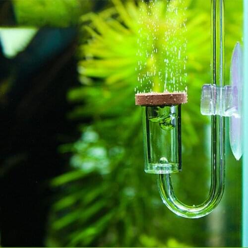 CO2 Generators For Aquariums EECOO China