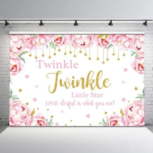 Twinkle Twinkle Little Star First Birthday Backdrop Onederful Floral Little Star Birthday Party Background Decorations for Girls