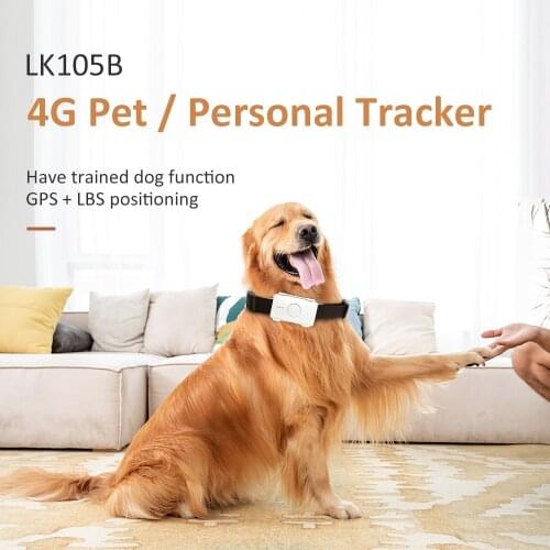 Real-time Health Monitoring 4G LTE GPS Pet Tracker LK105B-4G GPS Tracking with Free APP and Platform Tracking Device