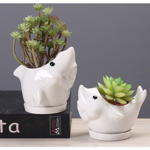 Creative Cartoon Ceramic Mini Dolphin Flowerpot Simple Succulent Plant Container Green Planter Small Bonsai Pots Home Decoration