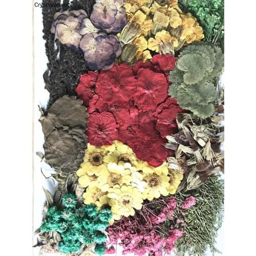 260pcs Assorted Pressed Dried Flowers Leaf Plant Herbarium For Jewelry Pendant Ring Earrings Flower Making Accessories