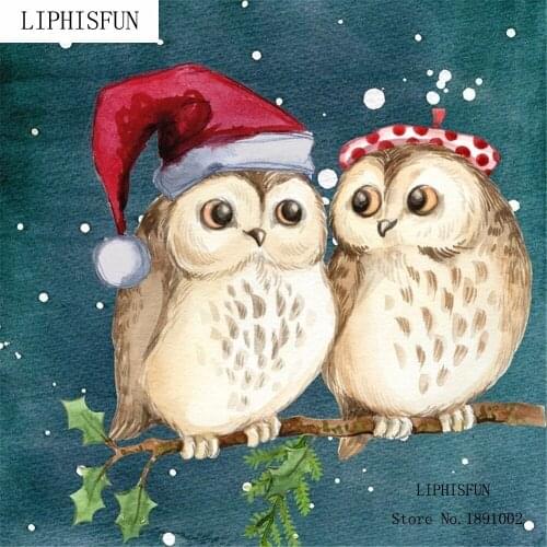5D DIY Diamond Painting kit Sqaure Resin Rhinestone Embroidery Cross Stitch Arts for Craft Home Wall Decor Christmas Owl