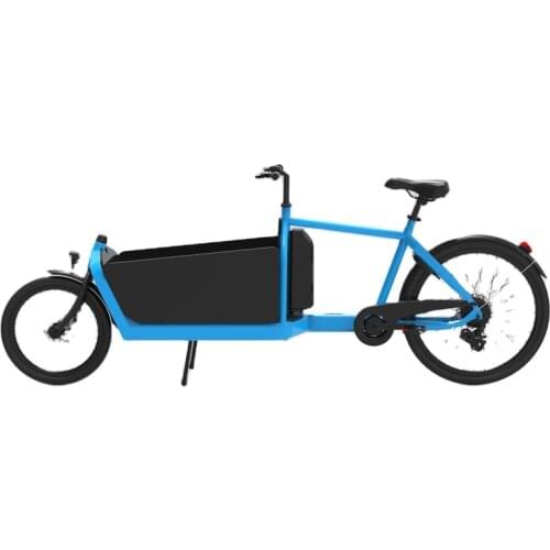 250w Hub Motor Electric Bicycle Pedal 2 wheel Bakfiets 7 Speed Steel Bike Frame Dutch Cargo Bike with for Child