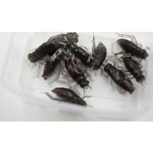 10 Pcs/lot Hot Sale Soft Insect Baits Black Cricket Fishing Lures Artificial Fish Bait Pest Fishing Swimbait Fishing Accessories