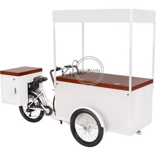 2020 New Mobile Electric Ice Cream Cargo Bike With High Capacity Freezer for Sell Cold Drinks Such as Cola Beer Adult Tricycle