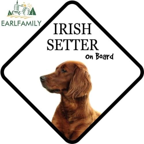 EARLFAMILY 13cm x 13cm Cartoon Irish SETTER on Board Car Sign Vinyl Window Trunk Decal Car Sticker Pet Dog Lover Graphic