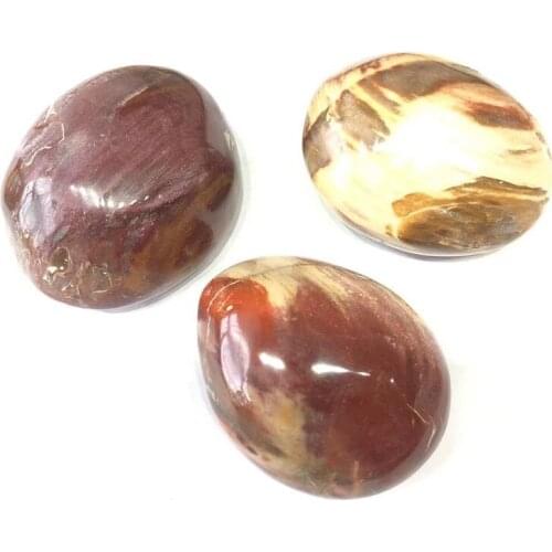 Hot Sell Palm Stones Petrified Wood Fossil Stone for Aquarium Decoration Natural Crystal Feng Shui Home Decoration Crystal Imag