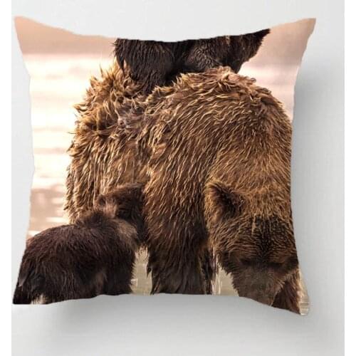 Brown Bear In Lake Clark National Park Throw Pillow Case Decorative Cushion Cover Pillowcase Customize Gift For Car Sofa Seat