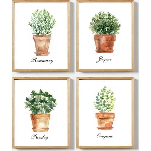 Water color Kitchen Wall Art Canvas Posters Prints Decor Oregano Thyme Rosemary Parsley Green Plant Art Painting Pictures