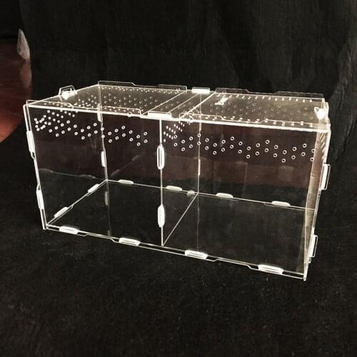 Reptile Tank Insect Spiders Tortoise Lizard Acrylic Transparent Breeding Box Vivarium Lid Reptile Pet Product Terrarium S/L Size