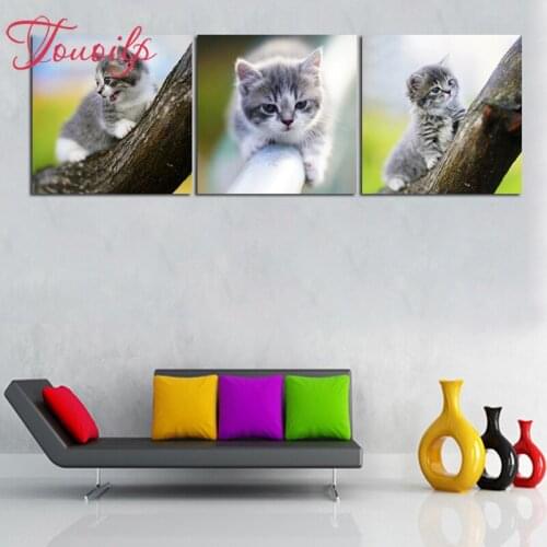 TOUOILP triptych Animal cat diamond painting full square&round drill diamond embroidery mosaic modern home decoration painting