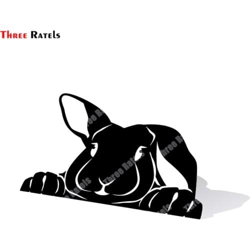 FD558 Peeking Bunny Cute Rabbit Car Sticker Waterproof Decal Laptop Motorcycle Auto Accessories Decoration PVC for Tacoma