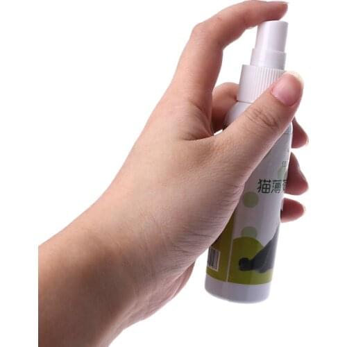 Cat Catnip Pet Training Toy Natural Healthy Cat Mint Funny Scratch Toy Spray