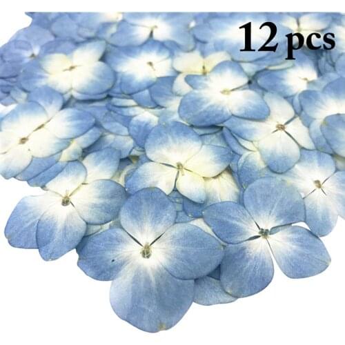 12Pcs Pressed Flowers Natural Hydrangea Dried Flowers DIY Flowers For Art Craft DIY Material Accessories Party Supplies