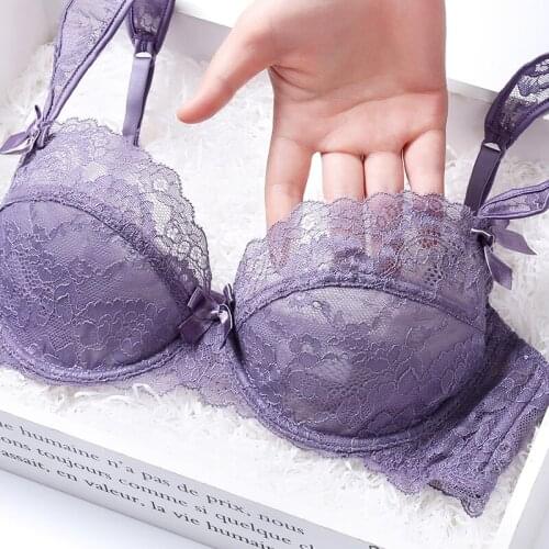 2020 Womens Transparent Lace Bra Top Female Embroidery Push Up Bras For Women Sexy Lingerie Plus Size D Cup Underwear Brassiere