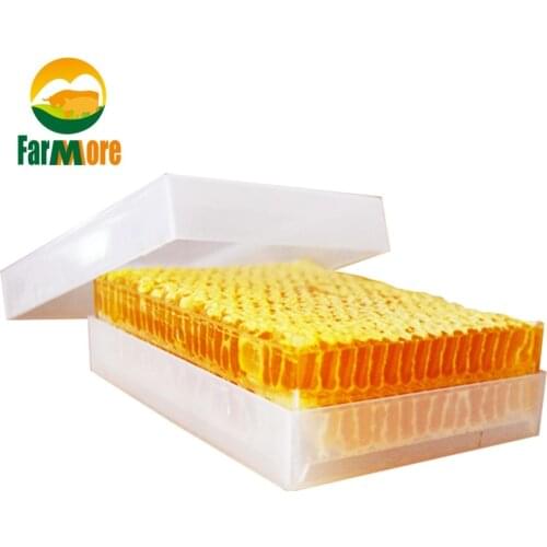 1Pcs Beekeeping Tool Honey Box Bee Hive Frames Honey Container Miel Lattice Bee Equipment