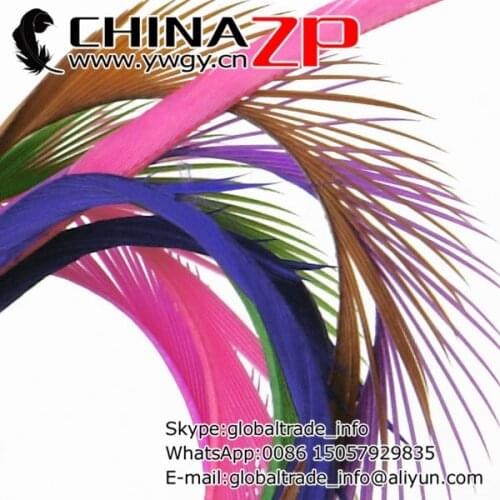 Gold Supplier CHINAZP Factory 200pcs/lot 8'-10" Wholesale Top Quality Dyed Mix Colors Goose Biots Feathers