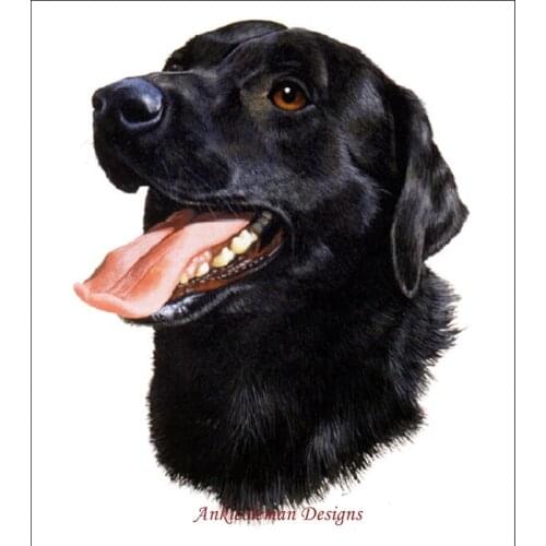 Embroidery Counted Cross Stitch Kits Needlework - Crafts 14 ct DMC Color DIY Arts Handmade Decor - Black Labrador