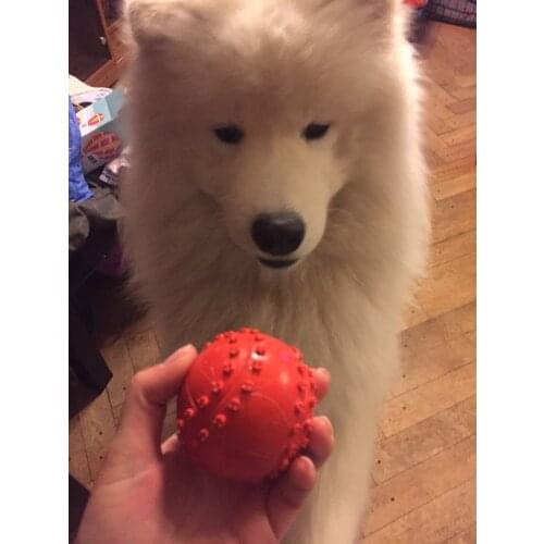 Pet Dog Cat Toy Ball Squeaky Sounds Babble Ball Rubber Toy Dog Ball with Sound Tennis Play Ball with Funny Sound For Pet Playing