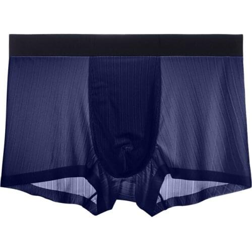 Modal Boxers Men Underwear Sexy Ice Silk Transparent Panties Man Breathable Pouch Underpants Male Shorts Homme Cueca Calzoncillo