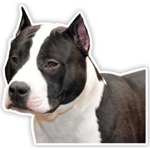 B0670 Self-adhesive Decal American Staffordshire Terrier Car Sticker Waterproof Auto Decors on Bumper Rear Window Laptop Helmet