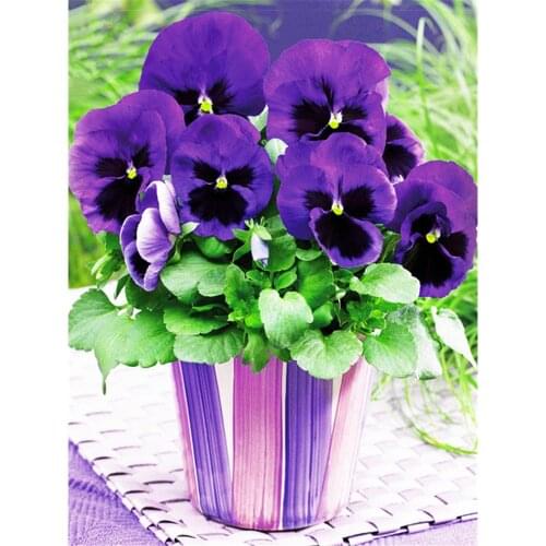 Flowers DIY 11CT Cross Stitch Embroidery Kits Craft Needlework Set Printed Canvas Cotton Thread Home Decoration New Room