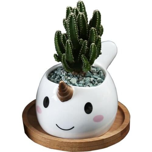 Lovely dolphins Green Planters Small Bonsai Pots Succulent Flowerpot Ceramic Flower Pot Plant Container Desktop Decoration