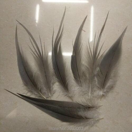 Wholesale 100pcs high quality rare gray egret feather silk 20-25cm/8-10 inch collected decorative accessories