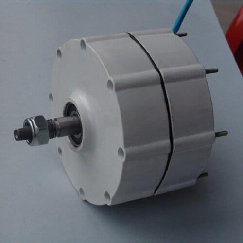 Rare earth permanent magnet generator 600w 12v/24v/48v single shaft