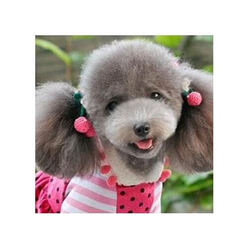 50pcs/lot New handmade cherry pet dog head flower head flower pet hairpin pet accessories