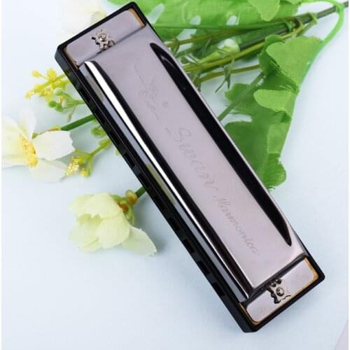 10-hole blues harmonica beginner blues wind instrument C harmonica standard range harmonica stainless steel harmonica