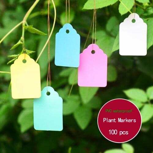 PVC waterproof material 100pcs 45x30mm blank Plant Markers Labels Strip Hang tags identification with rope Garden FlowersTools