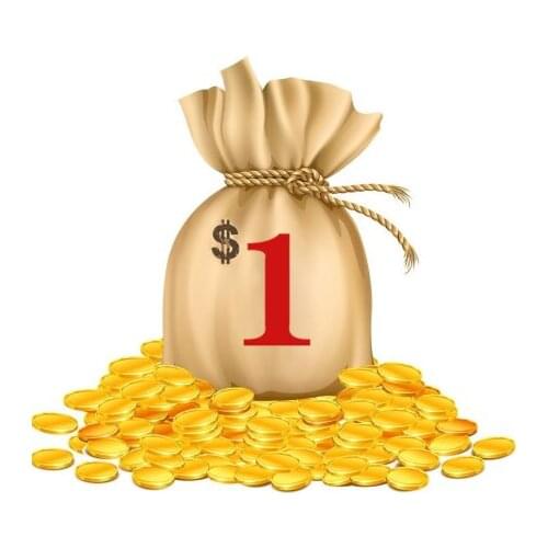 This Link Is For Customized Order Price Difference Change Order/Shipping Fee