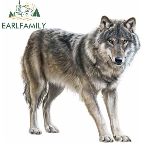 EARLFAMILY 13cm x 12.9cm For Wolf Funny Car Stickers Car Accessories Decal Air Conditioner Repair Decals Graffiti Sticker Decor