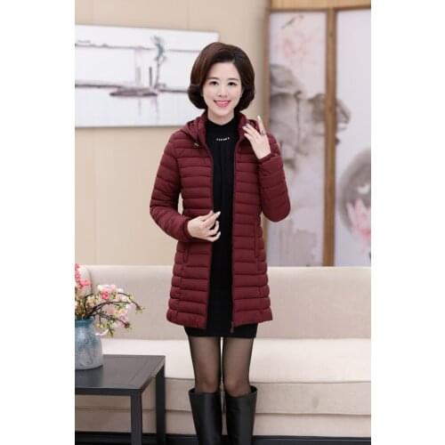 Jacket Women 2019 Solid Color Hooded Slim Brief Classic 2019 cotton-padded Warm Down Coats Winter Clothes Women Vestidos YL702