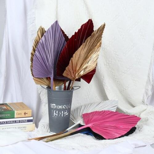 2021 Hot Sales Palm Fan Leaf Dried Flower Palm Leaf Window Reception Party Art Wall Hanging Decoration Wedding Arch Arrangement