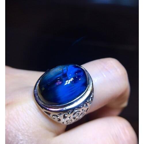 Natural Peter stone ring men women 925 sterling silver inlaid high collection value non-renewable gemstones noble rare Gilded