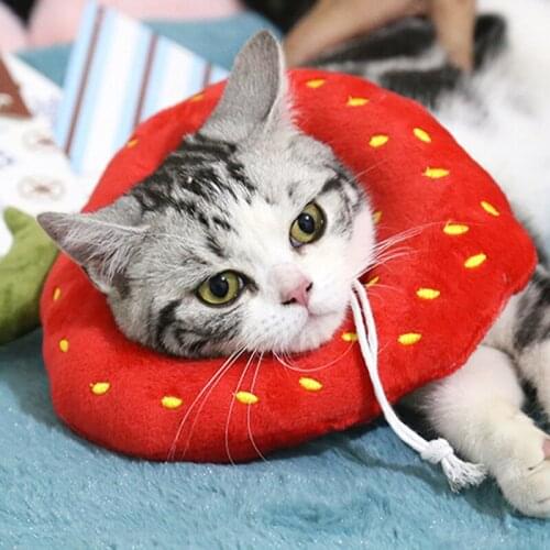 Cat Strawberry Collar Cute Fruit Dog Neck Cone Recovery Collars For Anti-Bite Lick Surgery Wound Healing Protective Pet Collar