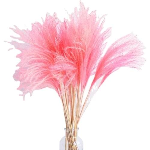 100stems/lot Natural Pampas Grass Dried Flowers Bouquet for Wedding Party DIY Craft Typha Lagurus Ovatus Phragmites Home Decor
