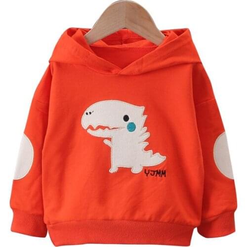 Autumn Kids Cotton Clothing New Spring Children Fashion Clothes Baby Boys Girls Cartoon Hoodies Toddler Casual Costume