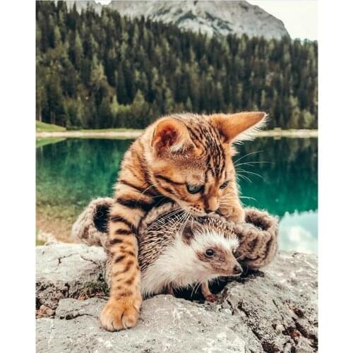 DIY 5d Diamond Painting cross stitch Hedgehog rhinestone puzzle Crafts Full Diamond Embroidery cat picture pastes Home Decor