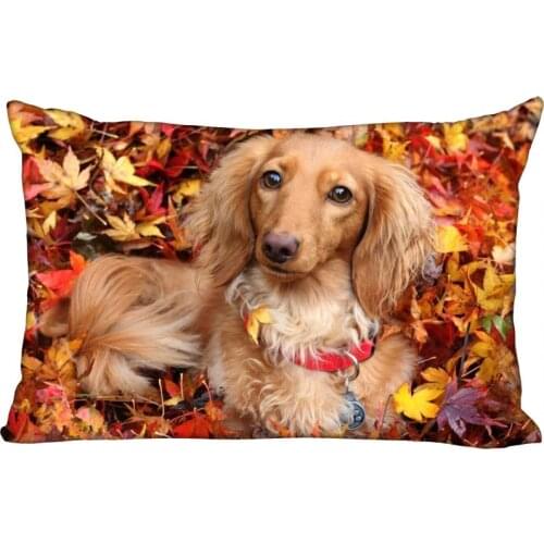 Dachshund Pillow Case Hot Sale Rectangle Pillowcase Wedding Decorative Soft No Fade Satin Fabric Pillow Cover Customize Gift
